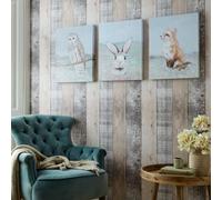 Art for the Home Set Of 3 Spring Meadow Animals Printed Canvases