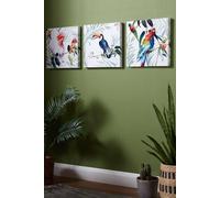Art for the Home Set of 3 Tropical Amazon Birds Printed Canvas - White/Multicoloured Wall Art - Leaves & Tropical Bird Design - Feature design - Cover for small cracks