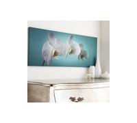 Art For The Home Teal Orchid Floral Printed Canvas - Teal & White Wall Art - Contemporary tranquil orchid photographic design - Hang the wall - Feature design - cover for small cracks