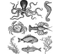 Art Gone Wild AGCMS304 Tim Holtz Sea Life Cling Rubber Stamp Set, Synthetic Material, Multi-Colour, 24.5 x 18 x 0.6 cm