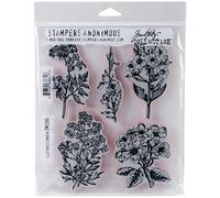 Art Gone Wild Tim Holtz Illustrated Garden Cling Rubber Stamp Set, Synthetic Material, Multi-Colour, 24.5 x 18 x 0.6 cm