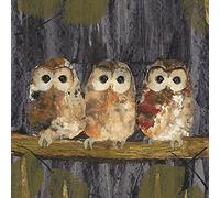 Art Group AFWDC91445 The Julia Burns Three Tawny Owls Canvas Print, Cotton, Multicolour, 30 x 30 x 1.3 cm