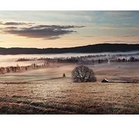 Art Group The Misty Morning Canvas, Multi-Colour, 0.96x60x3 cm