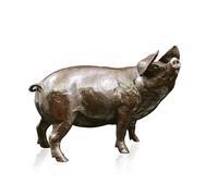 Art In Bronze Medium Gloucester Old Spot Figurine