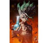 Art Jigsaws - Japanese Animes Dr.Stone Ishigami Posters - Memory Games For Adults - Family Fun Challenge Toys Gifts - 1000 Pieces Puzzle Zx479Aw