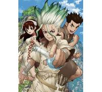 Art Jigsaws - Japanese Animes Dr.Stone Ishigami Posters - Memory Games For Adults - Family Fun Challenge Toys Gifts - 1000 Pieces Puzzle Zx481Aw