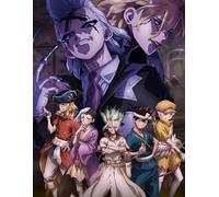 Art Jigsaws - Japanese Animes Dr.Stone Ishigami Posters - Memory Games For Adults - Family Fun Challenge Toys Gifts - 1000 Pieces Puzzle Zx480Aw