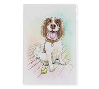 Art of Arora 2855 Springer Spaniel Ceramic Tile Picture Plaque Wall Art 30 x 20cm