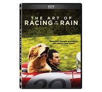 ART OF RACING IN THE - DVD - J3z
