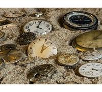 Art Photography: Still Life