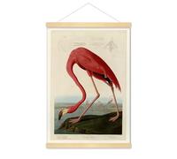 Art Poster Print Birds Antique Red Flamingo Pelican Wall Decor (B)