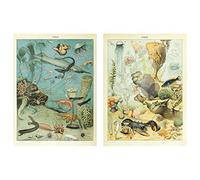 Art Poster Print Marine Life Deep Sea Fish Lobster Jellyfish Shrimp Shark