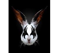 ART-PRINT-on-matte-paper-220gr- Rabbit Rocks Farkas Robert - Fantasy vertical Image Figurative Urban Youth Culture Fantasy Illustratio Fine art Print 26_X_20_in