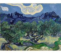 ART-PRINT-on-matte-paper-220gr- The Olive Trees VanGogh Vincent - Landscape horizontal Image Dutch Artist Painter Post Impressionist impression Fine art Print 25_X_31_in