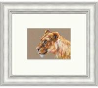 Art Prints Gallery | Dhakyia Tiger by Georgina McMaster | Frame Choices, Pictures, Wall Decor Silver - 33cm x 39cm