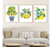 Art Prints,Set of 3-Modern Abstract Lemon Prints Poster Bonsai Canvas Wall Art Posters Blue White Willow Tree Living Room Kitchen Painting Office Home Decor-40 * 60cm/16 * 24inch (No Frame)