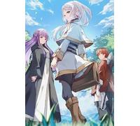 Art Puzzle - Classic Animes Frieren: Beyond Journey'S End - Family Challenge Toys Gifts - Adult Stress Relief Game Art Picture - 1000 Pieces Puzzles Zx530Aw