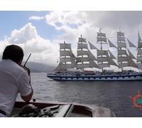 Art, Sailing, and Coral Reefs