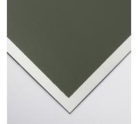 Art Spectrum : Colourfix Original : Pastel Paper : 50x70cm : Leaf Green Dark : Pack of 10