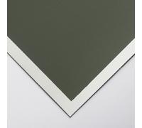 Art Spectrum : ColourFix Pastel Paper : 50x70cm : Leaf Green Dark