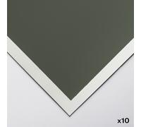 Art Spectrum : Colourfix Smooth : Pastel Paper : 50x70cm : Leaf Green Dark : Pack of 10