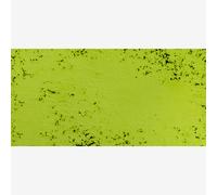 Art Spectrum : Soft Pastel : Australian Leaf Green Light V (Very Tinted)