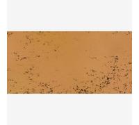 Art Spectrum : Soft Pastel : Burnt Sienna T (Tint)