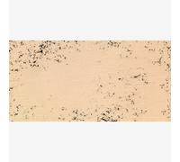 Art Spectrum : Soft Pastel : Burnt Sienna X (Extra Tinted)