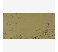 Art Spectrum : Soft Pastel : Raw Umber T (Tint)