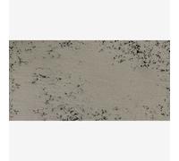 Art Spectrum : Soft Pastel : Warm Grey T (Tint)