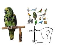 ART1 Parrot Harness Adjustable Size from Cocorite to Amazon 3 mm Elastic and 10 mm Ribbon, Plastic Buckles Leash 3 mm Black 1 M (Black All 10 mm)