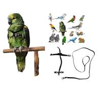 ART2 Adjustable Parrot Harness Size from Cocorite to Amazon 3 mm Elastic and 10 mm Tape, 2 Metal Attachments Leash 3 mm Black 1 M (Black All 10 mm)