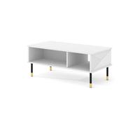 Arte Elegant White Woody Coffee Table 110Cm - Bright Storage Solution