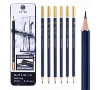 Artea Sketching Pencils Set of 6 in Metal Tin Case 3B 2B B HB H 2H - FSC Certified Artists Pencils for Drawing Doodling Drafting and Illustrations