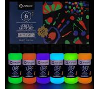 Artecho Acrylic Fluorescent Luminous Paints 6 × 60 ml, Neon in the Dark, Glow in The Dark, for Canvas, Textile, Wood, Glass, Stones.