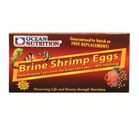 Artemia eggs Ocean Nutrition