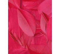 Artemio 3 g Smooth Feathers, Fuschia