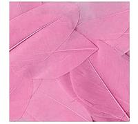 Artemio 3 g Smooth Feathers, Ligh Pink