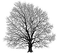 Artemio Craquelure Effect Base Pad, Wood, black, 2.5 x 10 x 10 cm