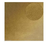 Artemio Kit ScrapBooking Paper, 10 sheets, Acid, Lignin, 0.7 x 30.5 x 30.5 cm Gold