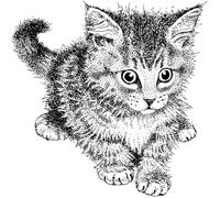 Artemio Rubber Stamp Cat PEE2599, Wood