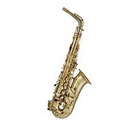 Artemis A1 Alto Sax Outfit - Gold Lacquer