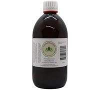 Artemisia (Sweet Annie/Qing Hao) Concentrated Herbal Extract - 525ml x 1 - in Glass Bottle