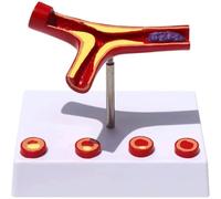 Arteriosclerosis Model Elderly Heart Model Thrombus ModelAtherosclerosis Model Maniquine Human Blood Vessel Model,Mannequin Teaching Supplies Body PVC Human Education Display Tool