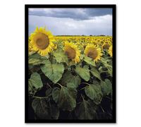 Artery8 A Kansas sunflower field up close Highsmith Framed Wall Art Print | Size: W12" x H16" Artery8 Multicolor W12" x H16"