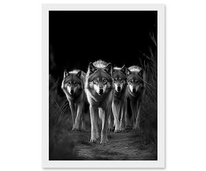 Artery8 A Pack of Wolves Wild Animal Black and White Photo Artwork Framed A3 Wall Art Print