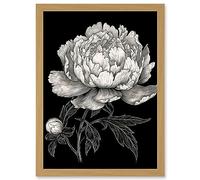 Artery8 A Peony Flower Bloom Black and White Blind Contour Artwork Framed A3 Wall Art Print