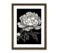 Artery8 A Peony Flower Bloom Black and White Blind Contour Artwork Framed Wall Art Print 18X24 Inch