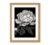 Artery8 A Peony Flower Bloom Black and White Blind Contour Artwork Framed Wall Art Print 18X24 Inch
