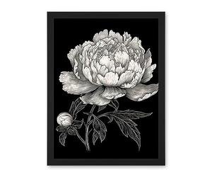Artery8 A Peony Flower Bloom Black and White Blind Contour Artwork Framed Wall Art Print 18X24 Inch